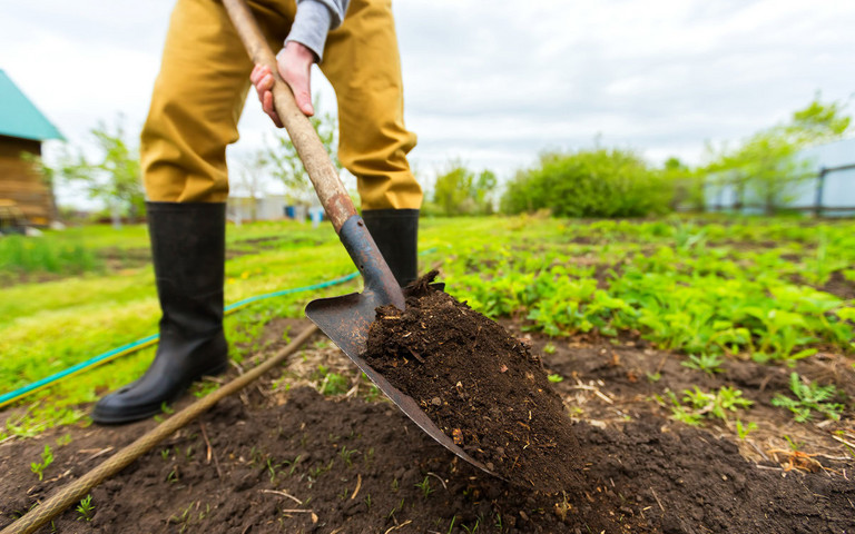 Die wichtigsten Gartenarbeiten im Frühjahr