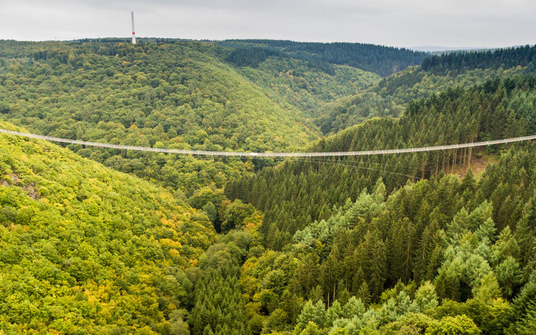 Die Geierlay-Hängebrücke im Hunsrück. Foto: Dominik Ketz