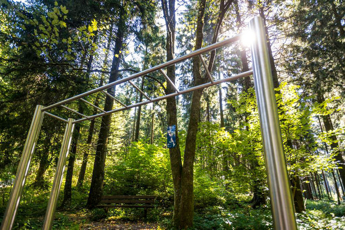 Der Trimm-dich-Pfad in Bad Marienberg. Foto: Rheinland-Pfalz Tourismus/Dominik Ketz