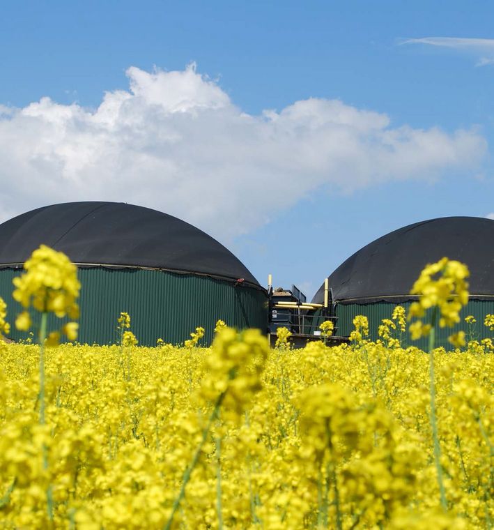 Effizienter: In China wird durch ein Biogasprojekt klimaschonender geheizt. Foto: Fokus Zukunft