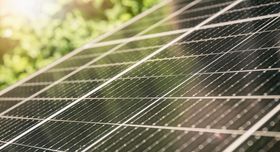 Frankenthal gibt grünes Licht für riesigen Solarpark