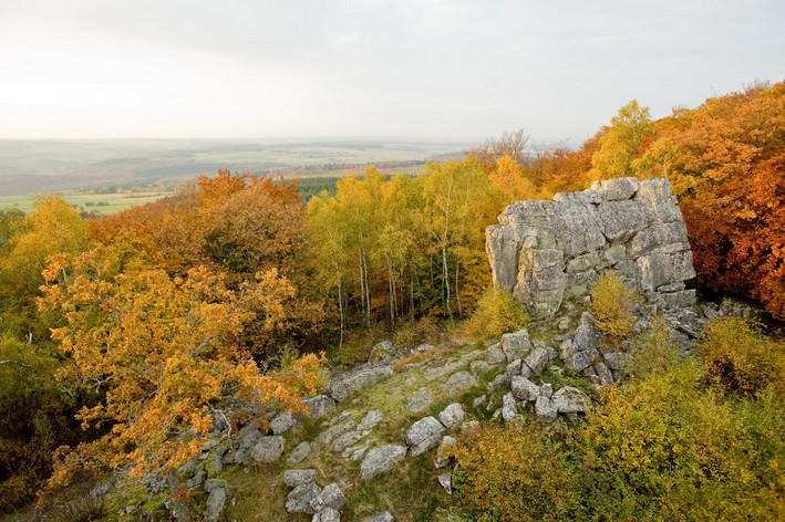 Blick auf den Teufelsfelsen im bunten Herbstwald