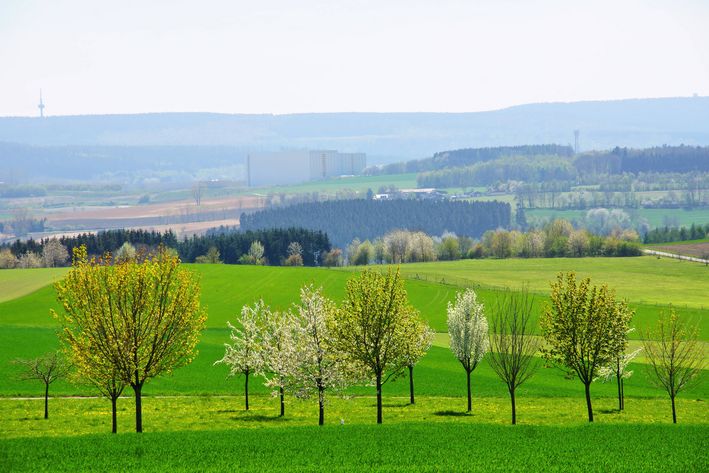 Frühlingslandschaft bei Morbach im Hunsrück. Foto: Imago Images / CHROMORANGE