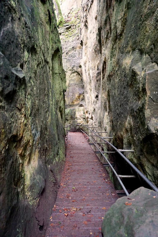 Schmale Wege: die Teufelsschlucht in der Südeifel. Foto: stock.adobe.com / Janet Worg.