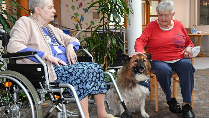 Der Besuchshund Enjoy unterhält die Seniorinnen Katharina Kramer (rechts) und Doris Ehrengard.