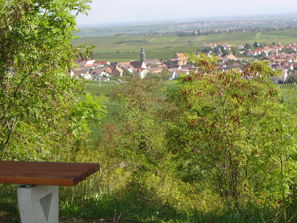 Pause machen: Die Aussichten in den Weinbergen laden zum häufigen Verschnaufen ein. Bild: Verbandsgemeinde Freinsheim