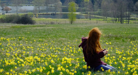 Narzissenblüte im Trauntal