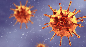 Das Coronavirus. Foto: Adobe Stock