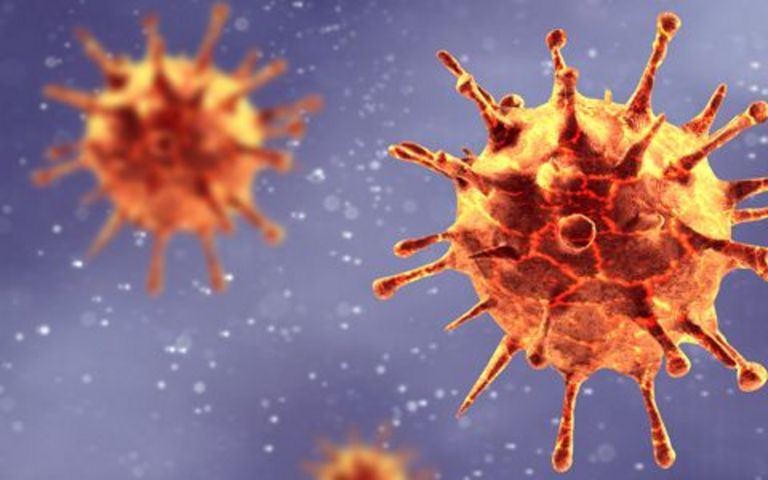 Das Coronavirus. Foto: Adobe Stock