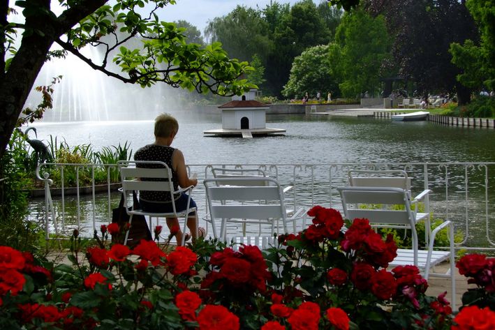 Einer der schönsten Rosengärten Europas findet sich in Zweibrücken. Foto: Wir. Hier. / Wiebke Bomas.