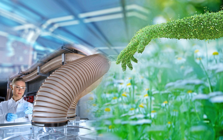 Nachhaltige Chemie: BASF recycelt Batterien von E-Autos. Fotos: BASF, AdobeStock