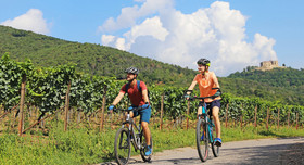 Zwei Fahrradfahrer radeln durch Weinberge.