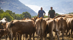 Tiere in Rheinland-Pfalz