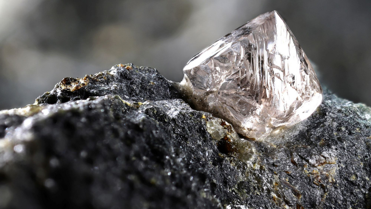 Rohdiamant, der auf Kohle liegt. Foto: Björn Wylezich - stock.adobe.com