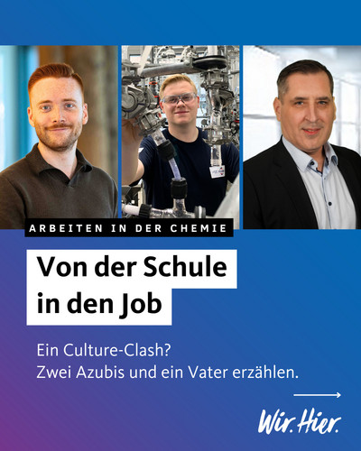 Praktika helfen, aber vermitteln sie wirklich ein Gefühl fürs Arbeitsleben?
