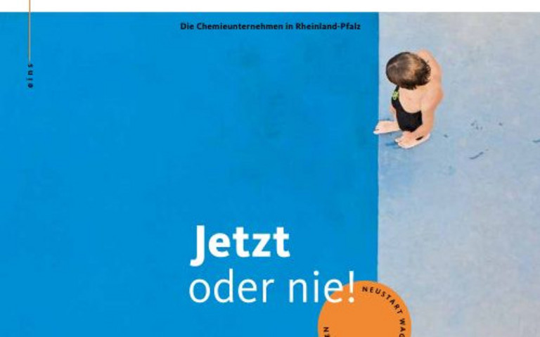 Im Fokus: Neuanfänge