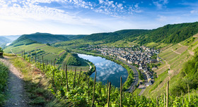 Mosel-Landschaft mit Weinbergen und einem Dorf. Quelle: stock.adobe.com/Karsten Würth