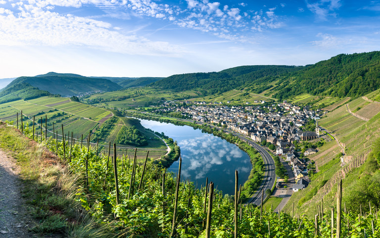 Mosel-Landschaft mit Weinbergen und einem Dorf. Quelle: stock.adobe.com/Karsten Würth