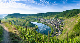 Mosel-Landschaft mit Weinbergen und einem Dorf. Quelle: stock.adobe.com/Karsten Würth