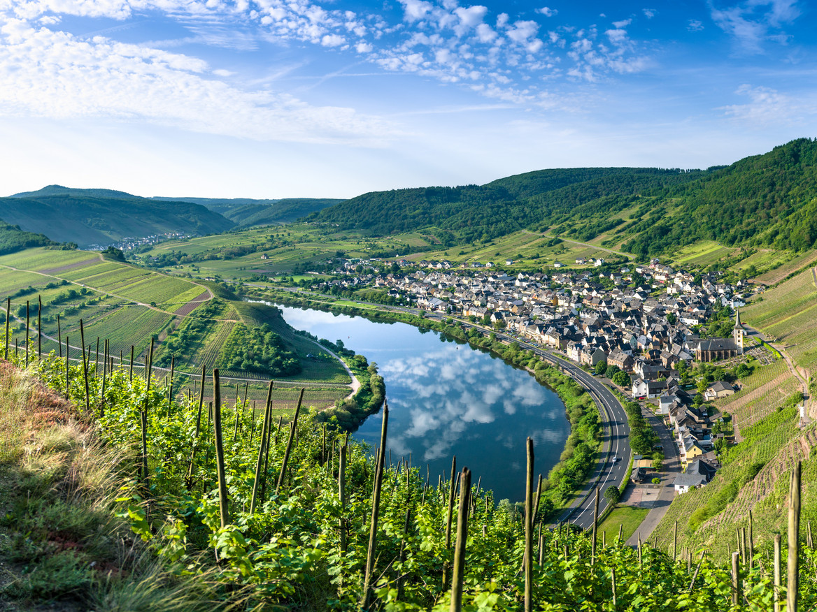 Mosel-Landschaft mit Weinbergen und einem Dorf. Quelle: stock.adobe.com/Karsten Würth