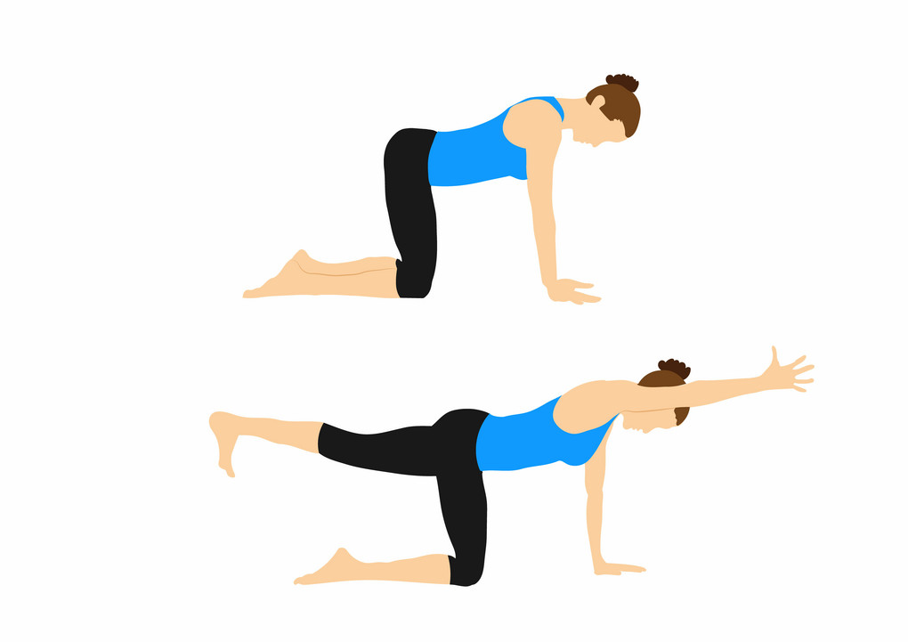 Flexibel bleiben: Die Vierfüßler-Übung stärkt die Rückenmuskulatur. Illustration: David - stock.adobe.com