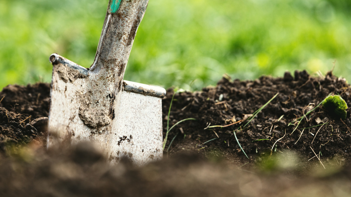 Spaten in der Gartenerde: Eine Bodenanalyse vor der Pflanzung erhöht den Gartenerfolg. Foto: M.Dörr & M.Frommherz/stock.adobe.com