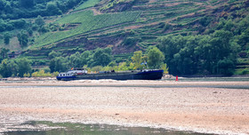Ein Güterschiff manövriert sich bei extremem Rheinniedrigwasser zwischen den Bojen durch das Flussbett.