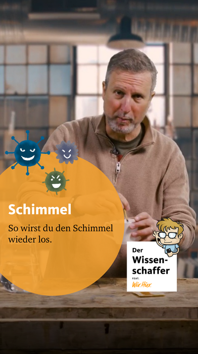 So werdet ihr Schimmel wieder los ?‍️?‍️