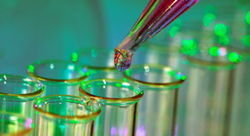 Forschungssituation ganz nah: Pipette und Reagenzgläser