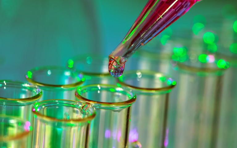 Ein gutes Umfeld für die Forschung zahlt sich aus Forschungssituation ganz nah: Pipette und Reagenzgläser