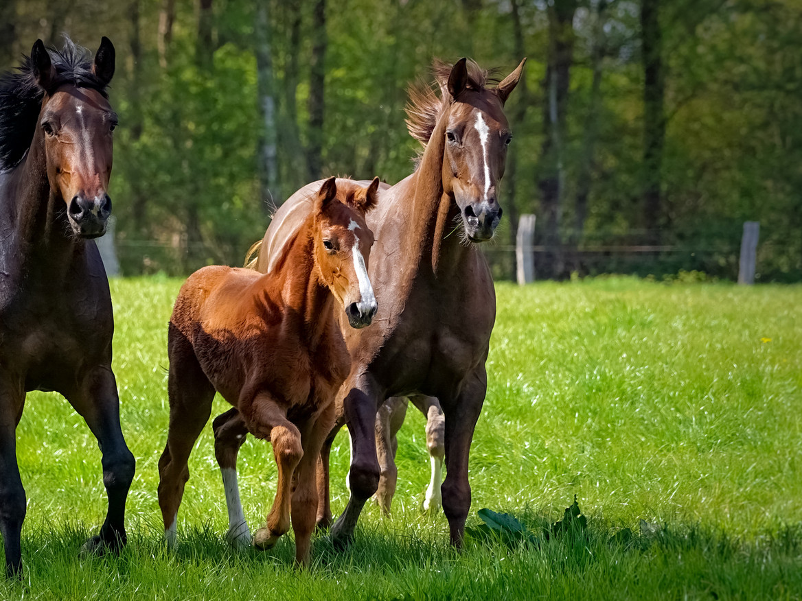 Neuer Chemie Tarifvertrag In Kraft Wir Hier 