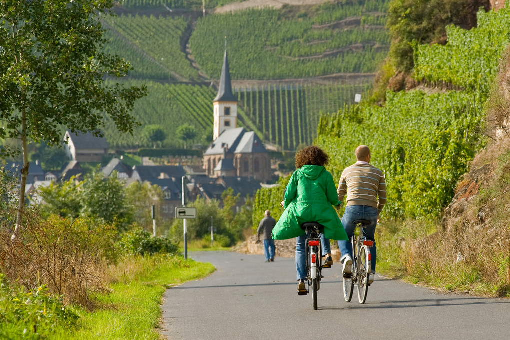 Wein: Wer an der Mosel unterwegs ist, kommt an Rebhängen und malerischen Dörfern vorbei. Foto: Dominik Ketz