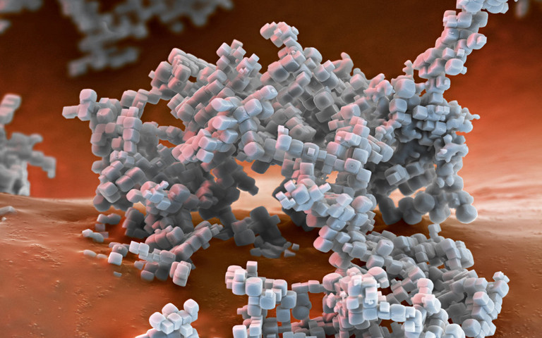 Spezial-Zeolithe für Abgaskatalysatoren / Specialty Zeolites for automotive emission catalysts. Foto: BASF.