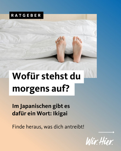 Ikigai ist das, was deinem Tag einen Sinn gibt und deinem Beruf Richtung. ️