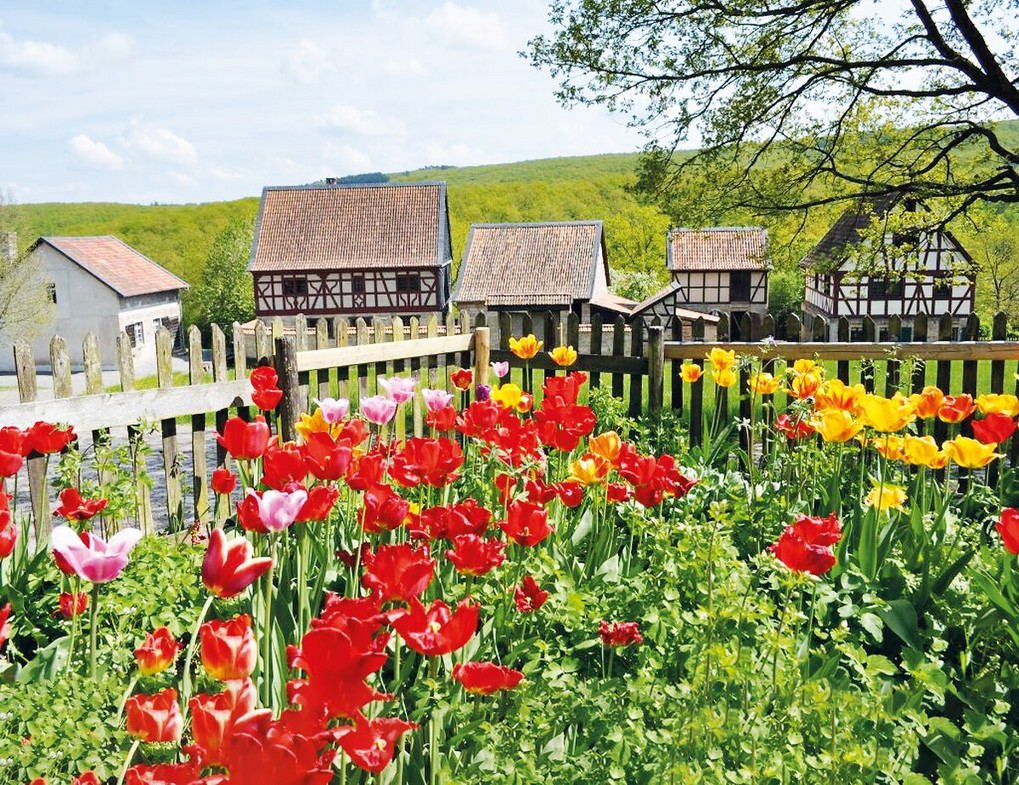 Foto: Rheinland-Pfälzisches Freilichtmuseum Bad Sobernheim