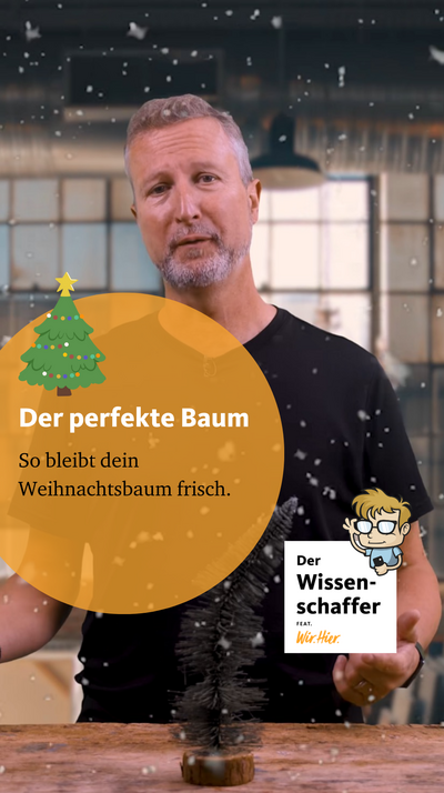 Dein trinkt mehr Wasser als du im ganzen Jahr? ? – aber hey, was tut man nicht alles für wahre Tannenliebe! ?? Der Wissenschaffer hat da noch nen für dich! ?