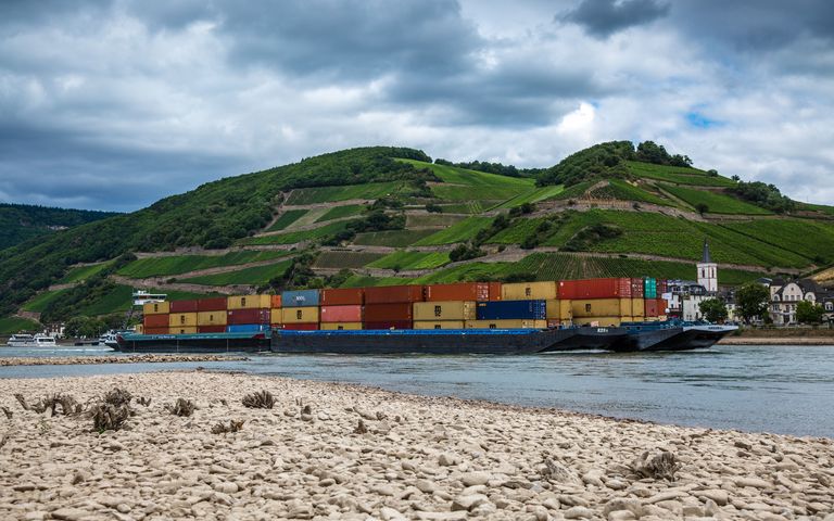 Containerschiffe: Warten auf die Rheinvertiefung