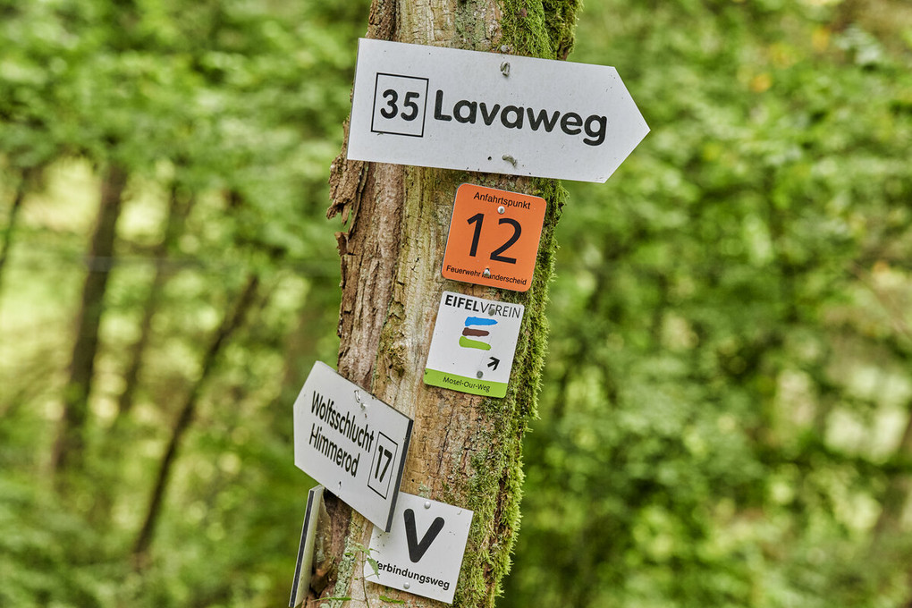 Wegweisend: In der Vulkaneifel sind Sie im Land der Maare und Vulkane unterwegs. Foto: RPT