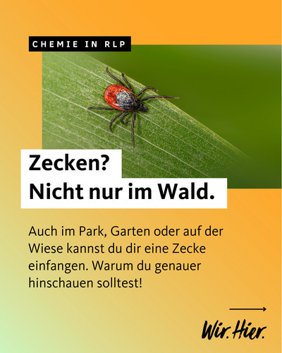Wurdest du schon mal von einer Zecke gebissen?