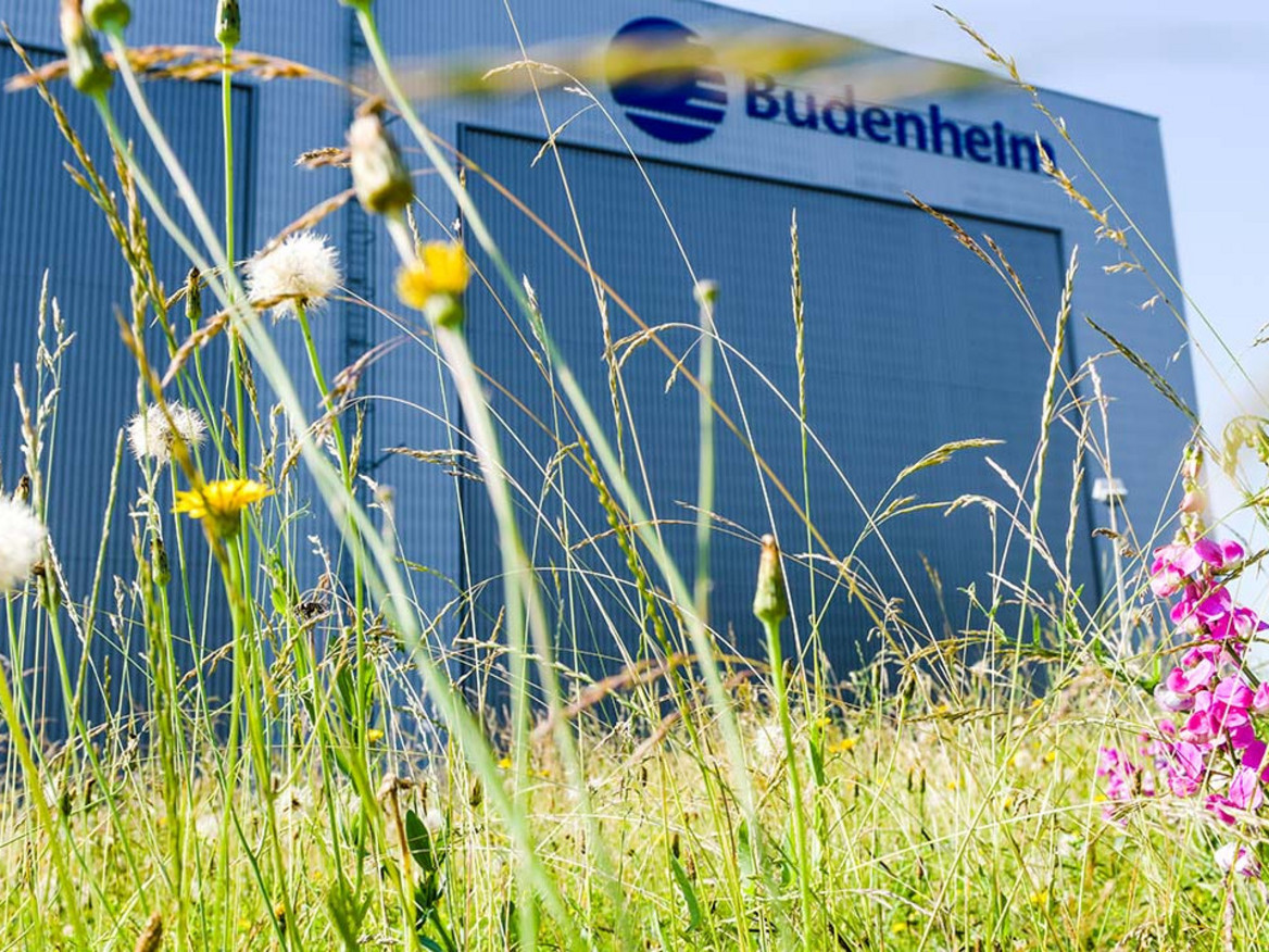 Heimlicher Held Chemische Fabrik Budenheim