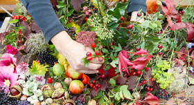 Floristin erstellt aus Weinlaub, Kastanien und Hagebutten ein farbenfrohes Gesteck.