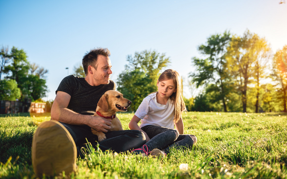 Vater, Tochter und Hund entspannen bei sonnigem Wetter auf einer Parkwiese.