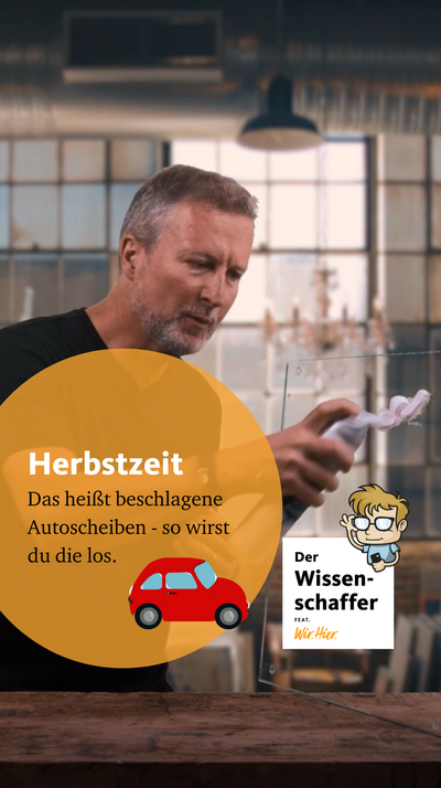 Es ist wieder soweit: heißt auch immer Autoscheiben-Beschlag-Zeit! ?