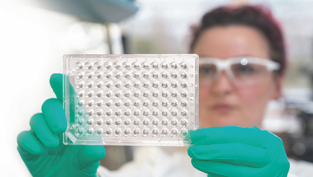 Innovative Beschichtung: Sie liefert bessere Ergebnisse in der Arzneiforschung. Foto: BASF SE