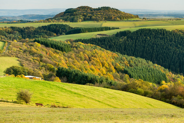 Blick über die Vulkaneifel.