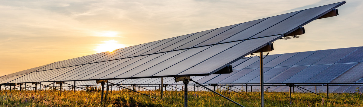 Solarpark im Sonnenschein. Foto: Björn Wylezich - stock.adobe.com