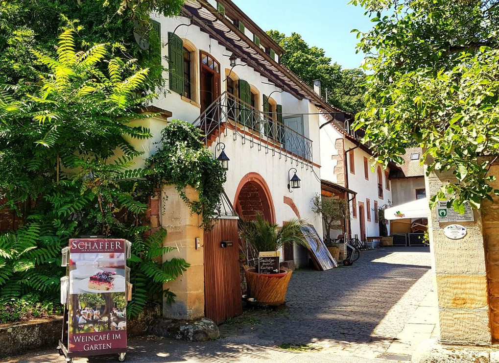 Drehort Hambach: Winzer Schäffer öffnete sein Weingut für die Serie „Weingut Wader“. Foto: Tobias Kauf 