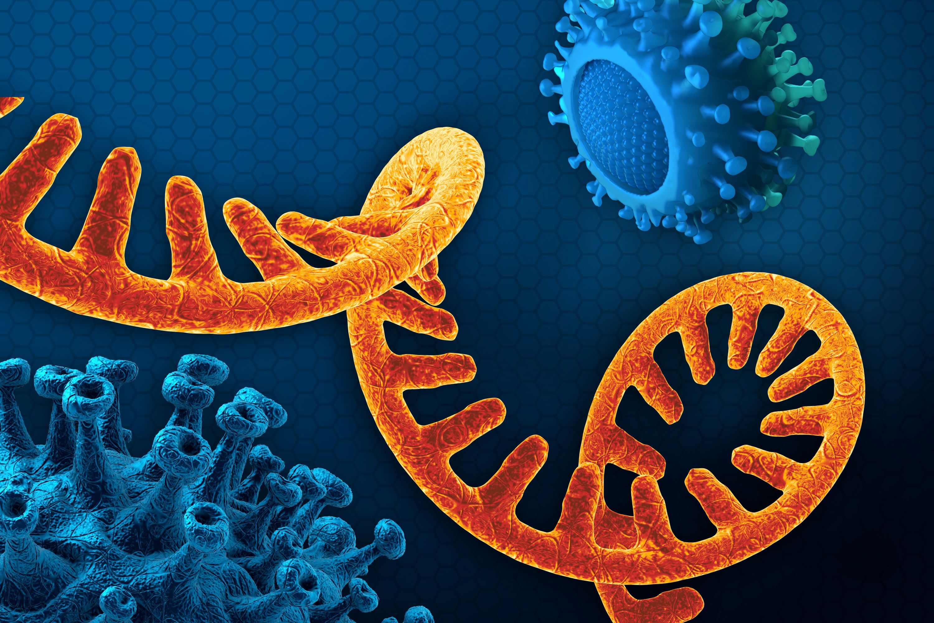 Ribonukleinsäurestrang mit Covid-Viruszellen