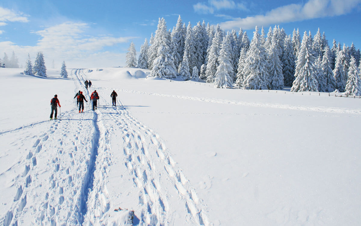 Skiwandern AdobeStock 36660027