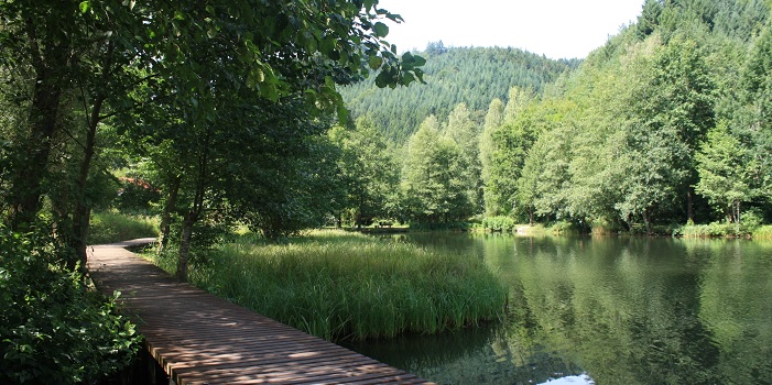 Der Helmbachweiher zählt zu den idyllischsten Seen in Rheinland-Pfalz. Foto: Verbandsgemeinde Lambrecht (Pfalz)
